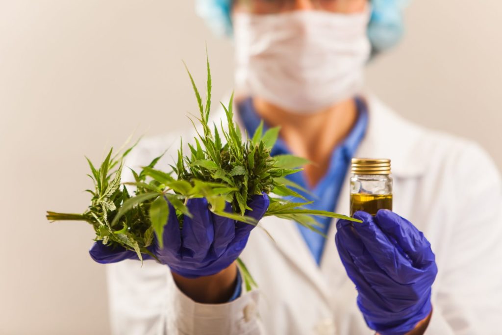 Fleurs et huile de cannabis médical