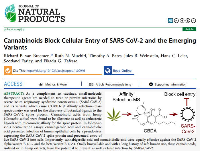 Analyse de la publication annonçant que les cannabinoïdes préviennent l’infection par le coronavirus-2 (SARS-CoV 2)
